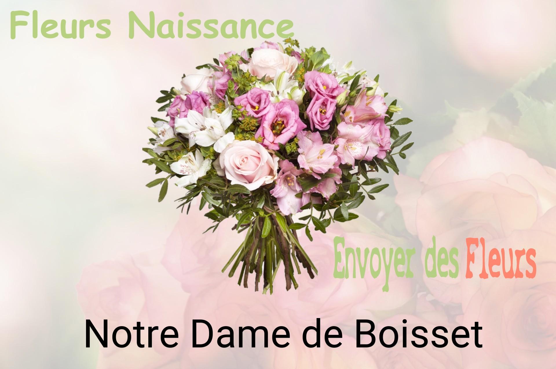 Bouquet de fleurs de naissance livré à Notre-Dame-de-Boisset